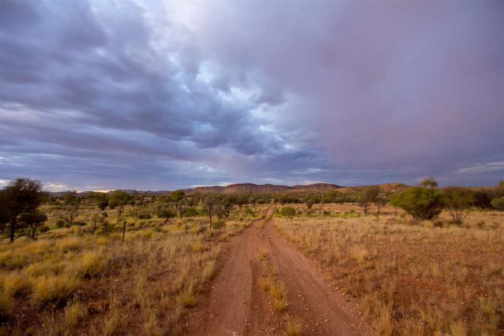 Tanami desert