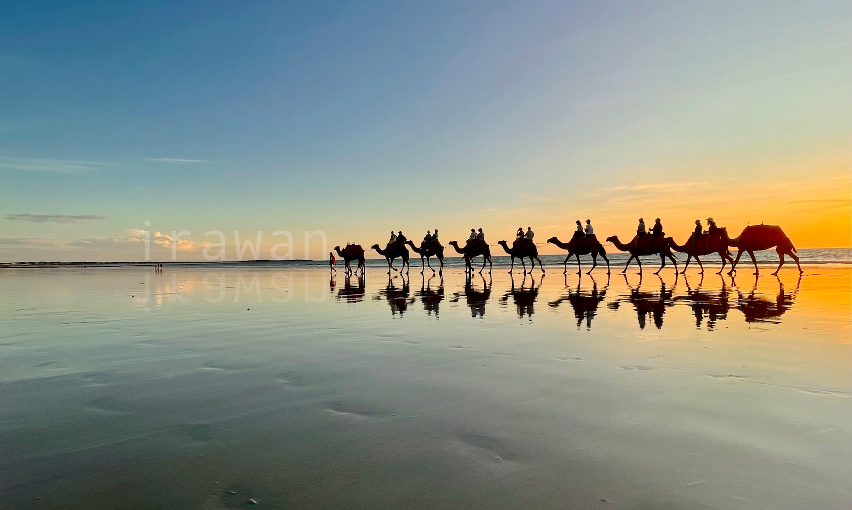 Broome Camel Tour